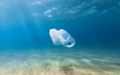 (Re)vivons dans un monde sans plastique !